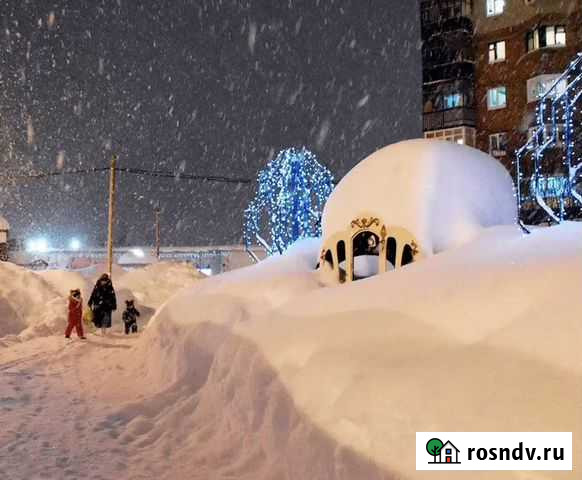 Уборка снега Бирск - изображение 1