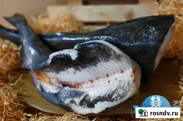 Угольная рыба (черная треска) без головы, 1 кг Москва - изображение 1