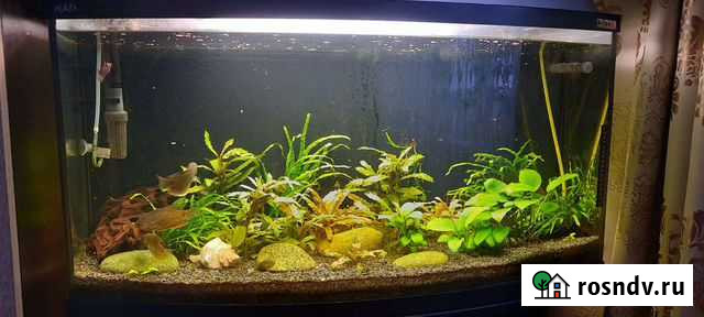 Аквариум с тумбой 100 литров Курск - изображение 1