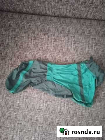 Дождевик для собак Санкт-Петербург - изображение 1