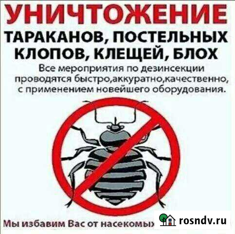 Отрава от насекомых Комсомольск-на-Амуре - изображение 1