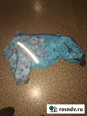 Зимний комбинезон для мопса Торг Екатеринбург - изображение 1