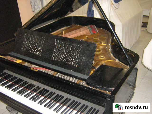 Рояль Санкт-Петербург - изображение 1