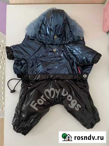 Комбинезон для собаки Кемерово - изображение 1