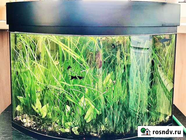 Готовый аквариум в сборе Чебоксары - изображение 1