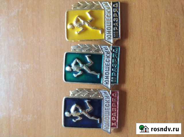 Значки Ульяновск - изображение 1