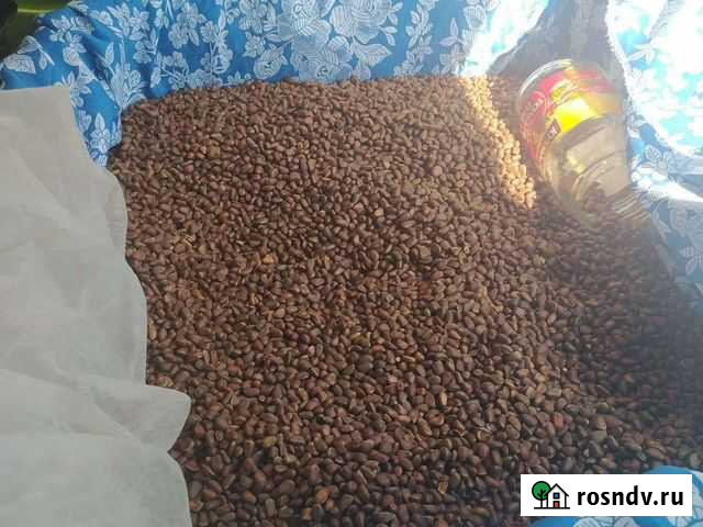 Продам орех, шишку Екатеринбург - изображение 1