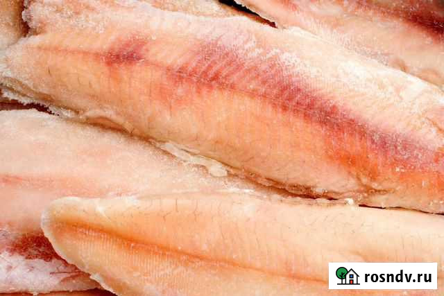 Филе щуки Биробиджан - изображение 1