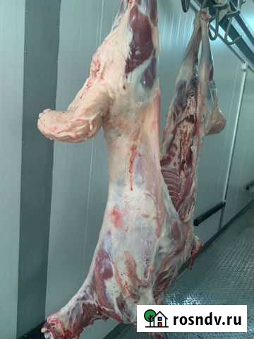 Мясо баранина свежая Новороссийск - изображение 1