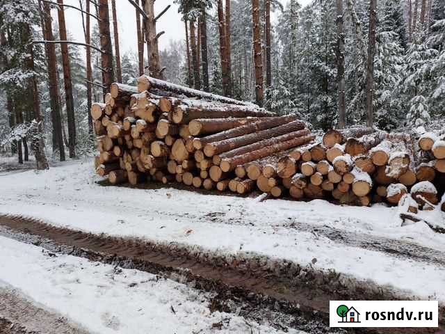 Лес кругляк хвоя с Доставкой Петушки - изображение 1