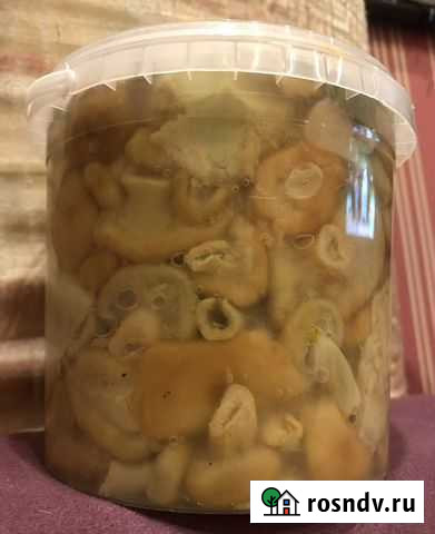 Волнушка грибы Северодвинск - изображение 1