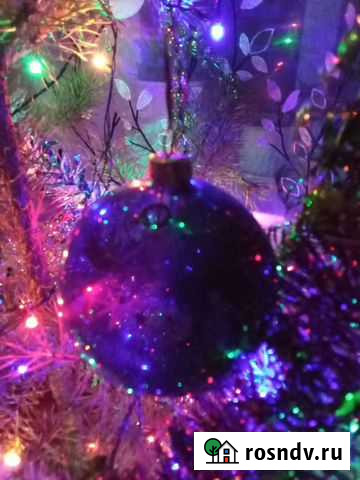 Трёхдневные ягнята Терновка - изображение 1