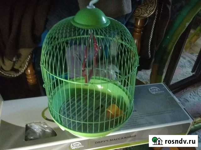 Клетка Балашиха - изображение 1