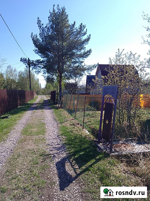 Участок СНТ, ДНП 6 сот. на продажу во Всеволожске Всеволожск - изображение 4