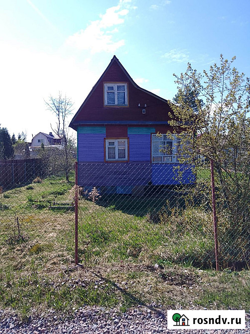 Участок СНТ, ДНП 6 сот. на продажу во Всеволожске Всеволожск - изображение 2