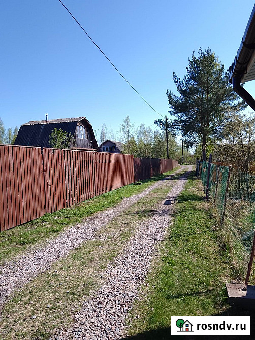 Участок СНТ, ДНП 6 сот. на продажу во Всеволожске Всеволожск - изображение 5