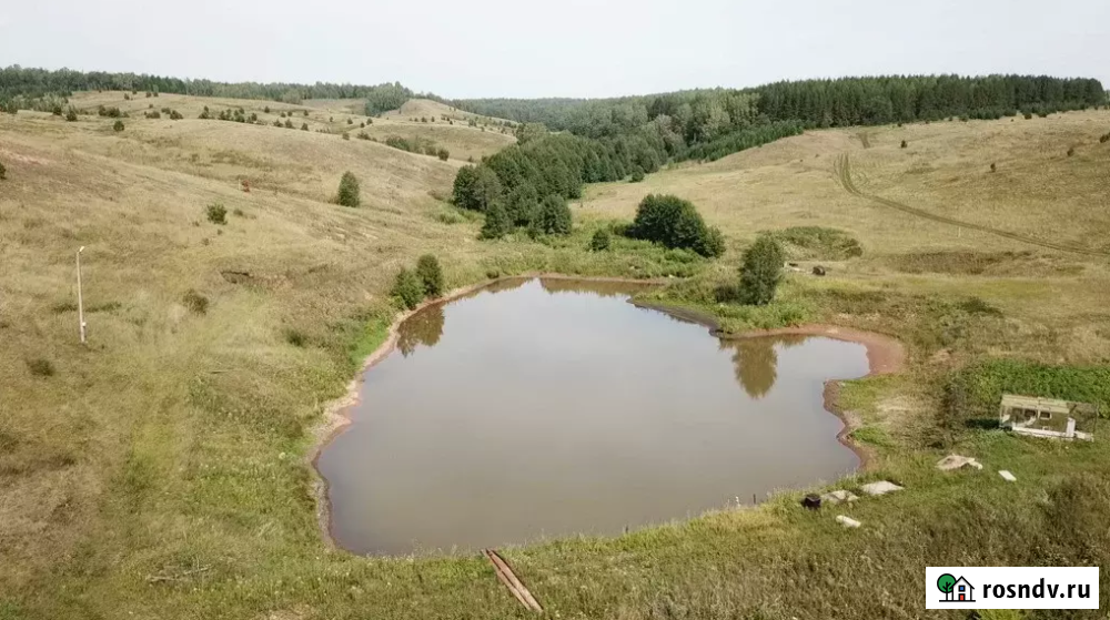 Участок ИЖС 200 сот. на продажу в Уфе Уфа - изображение 2