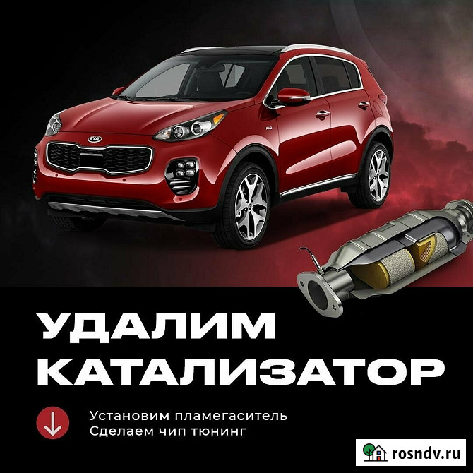 Удаление катализатора чип тюнинг Ярославль - изображение 1