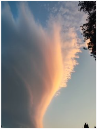 Участок ИЖС 24 сот. на продажу в Острогожске Острогожск