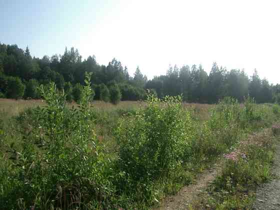 Участок СНТ, ДНП 1850 сот. на продажу в Санкт-Петербурге Санкт-Петербург