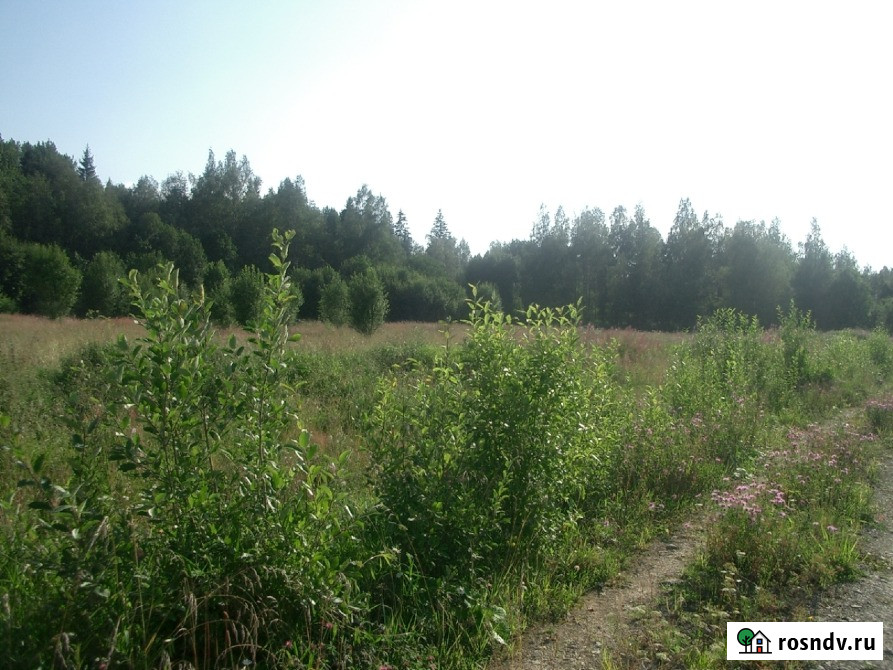 Участок СНТ, ДНП 1850 сот. на продажу в Санкт-Петербурге Санкт-Петербург - изображение 5