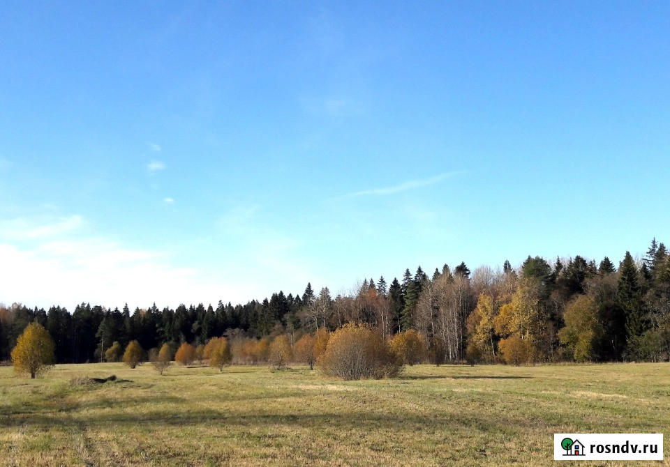 Участок СНТ, ДНП 4000 сот. на продажу в Санкт-Петербурге Санкт-Петербург - изображение 3