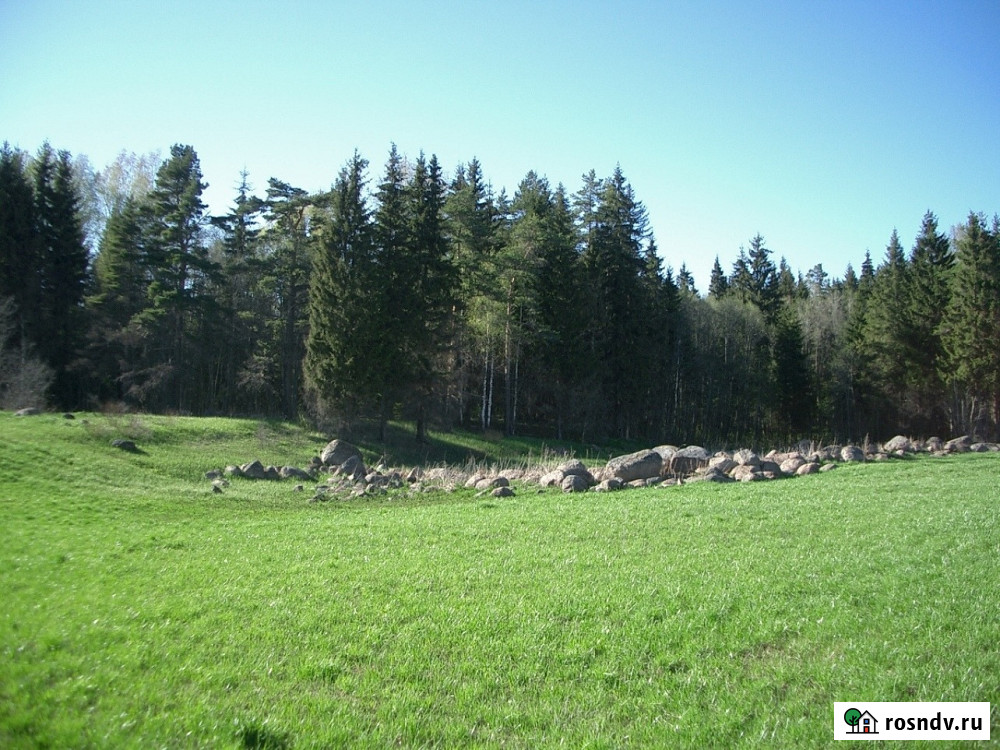 Участок СНТ, ДНП 4000 сот. на продажу в Санкт-Петербурге Санкт-Петербург - изображение 1