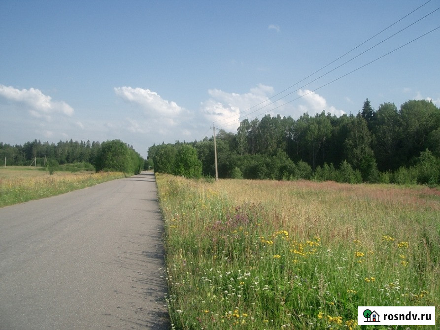 Участок СНТ, ДНП 1850 сот. на продажу в Санкт-Петербурге Санкт-Петербург - изображение 4
