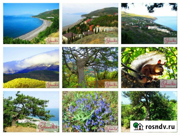 Отдых, снять жилье в пансионате Канака Алушта - изображение 4