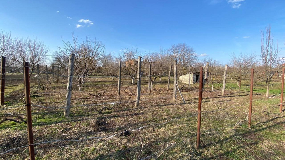 Дом 20 м² на участке 30 сот. на продажу в Новоминской Новоминская - изображение 1