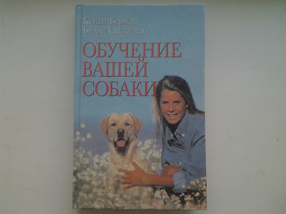 Обучение вашей собаки Нововоронеж - изображение 1