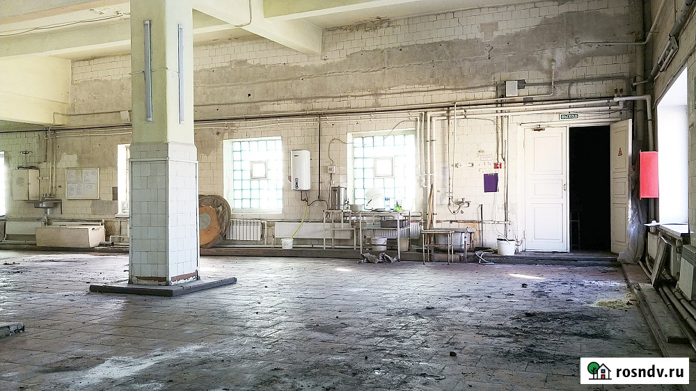 Промышленное здание 2366 кв.м и земельный участок в Луге Луга - изображение 3