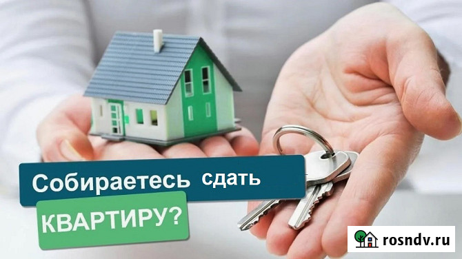Помогу сдать квартиру в Спб и ЛО бесплатно. Агент по аренде Санкт-Петербург - изображение 1