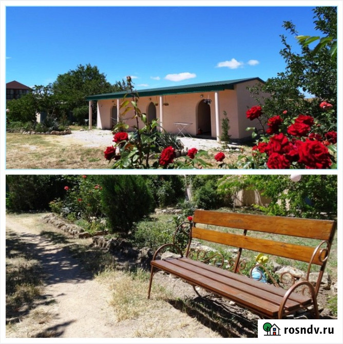 Жилье в Оленевке Крым Черноморское - изображение 3