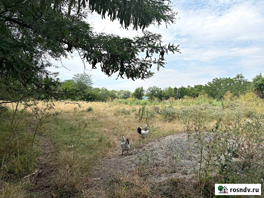 Участок ИЖС 25 сот. на продажу в Армавире Армавир - изображение 5