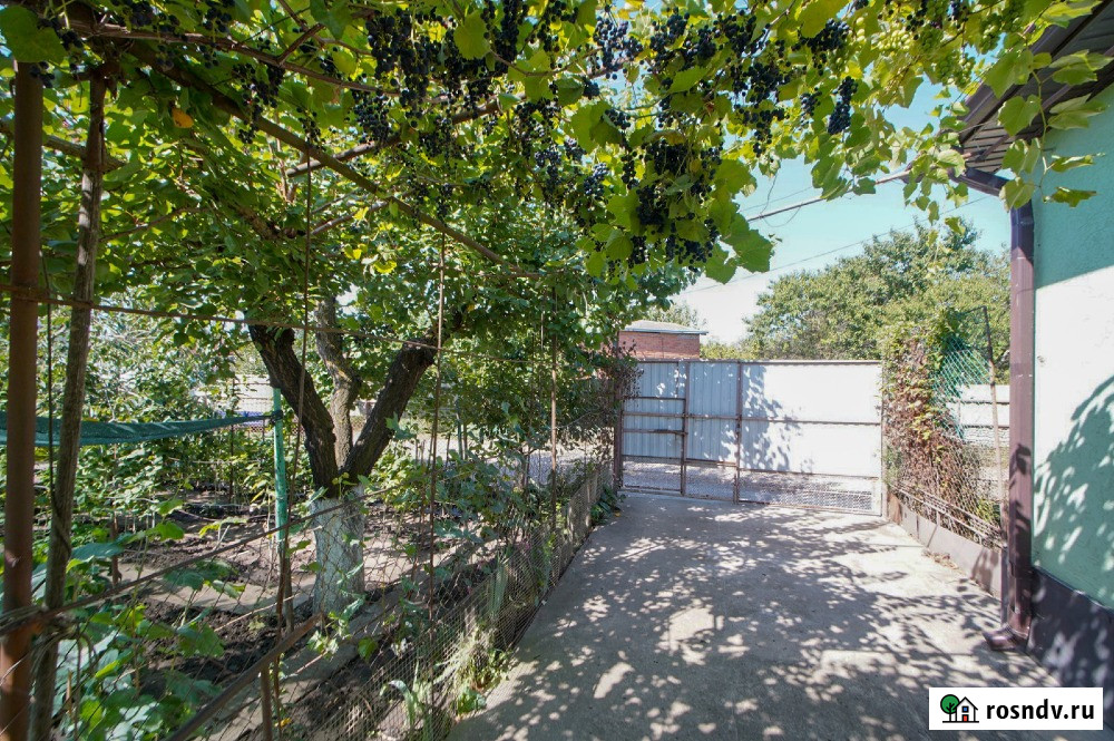 Дом 53 м² на участке 6 сот. на продажу в Краснодаре Краснодар - изображение 3