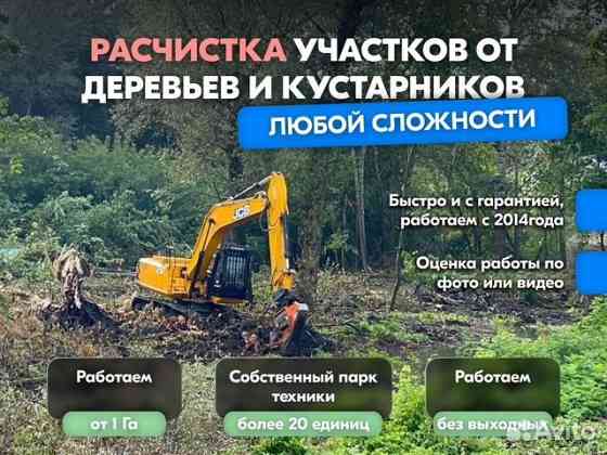 Расчистка территорий от деревьев и пней от 1 Га Ярославль