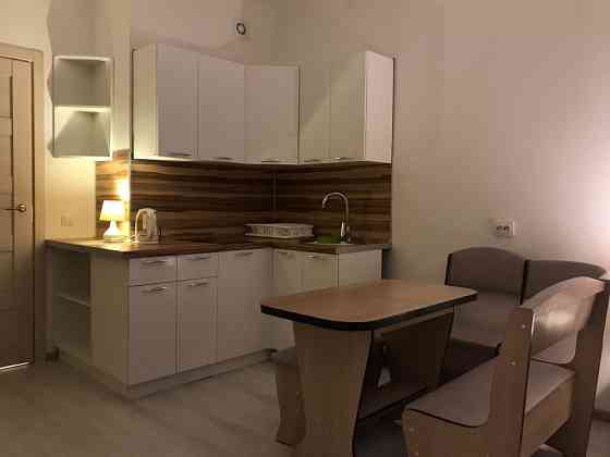 Квартира-студия, 25 м², 13/25 эт. в аренду на длительный срок в Санкт-Петербурге Санкт-Петербург