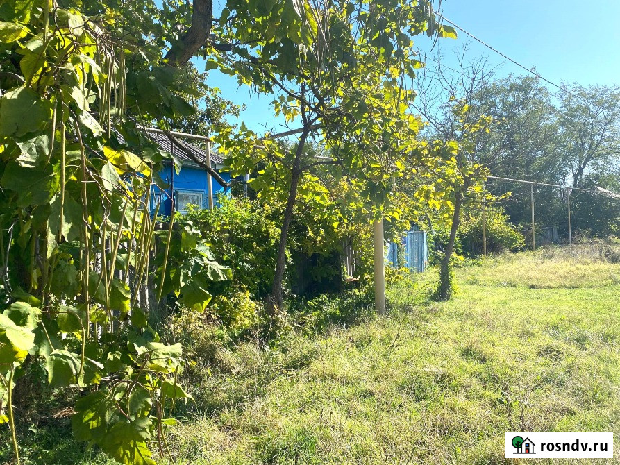 Участок ИЖС 25 сот. на продажу в Успенском Успенское - изображение 4