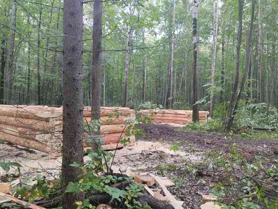 Продам сруб 4×6 Вагай