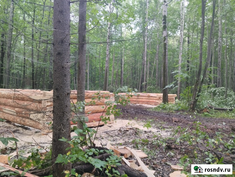 Продам сруб 4×6 Вагай - изображение 1