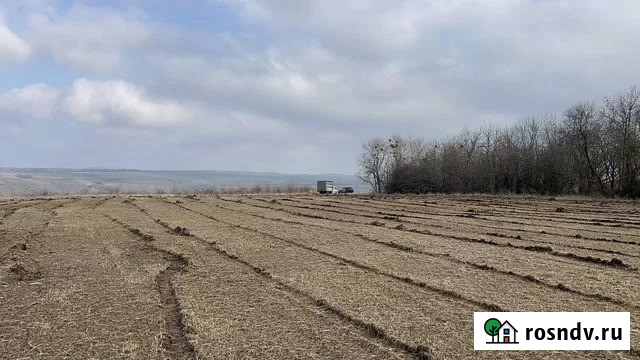 Расчистка территорий от деревьев и пней от 1 Га Рязань - изображение 3