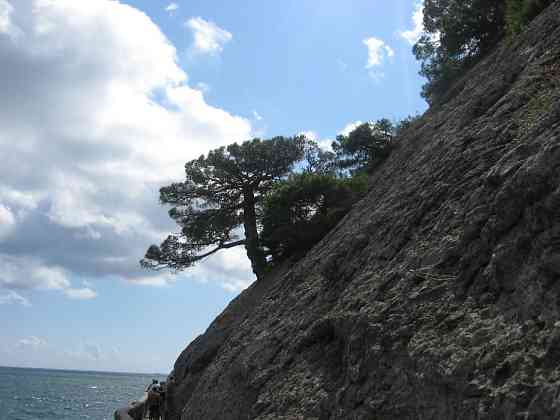 Отдых на майские в Юго-Восточном Крыму в 2026 году Феодосия