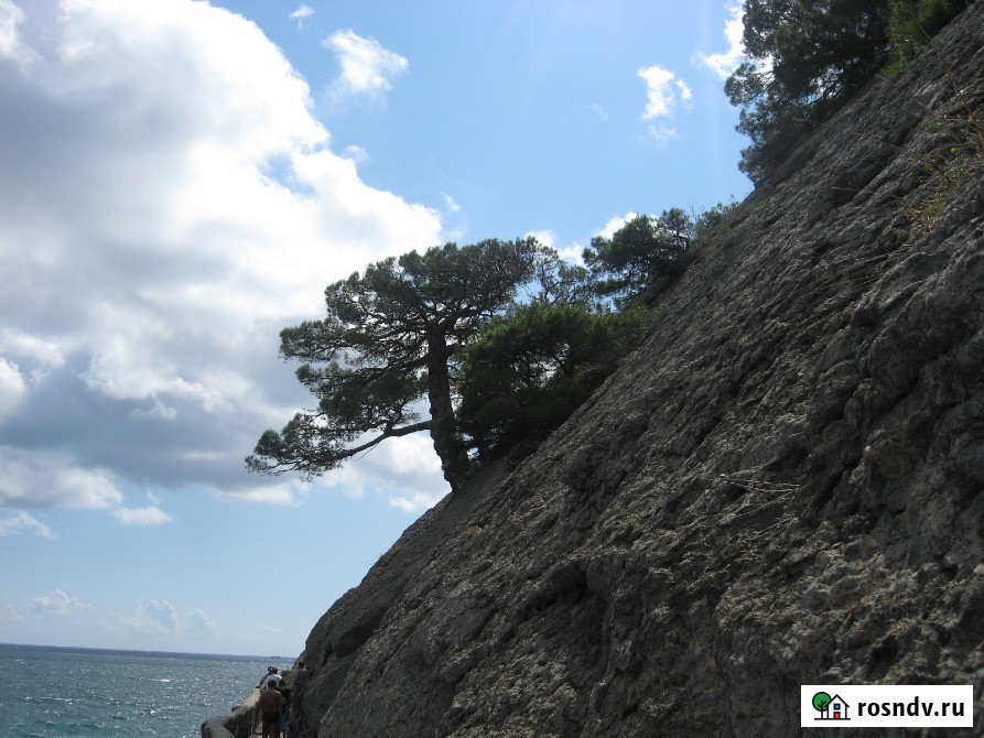 Отдых на майские в Юго-Восточном Крыму в 2026 году Феодосия - изображение 4