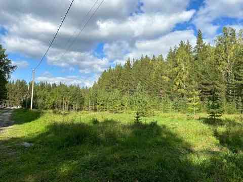 Участок СНТ, ДНП 10.49 сот. на продажу в Екатеринбурге Екатеринбург