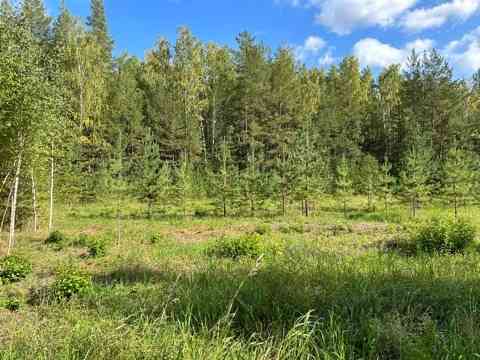 Участок СНТ, ДНП 10.49 сот. на продажу в Екатеринбурге Екатеринбург