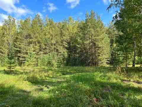 Участок СНТ, ДНП 10.49 сот. на продажу в Екатеринбурге Екатеринбург