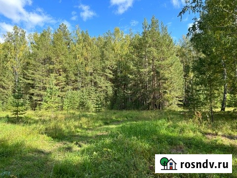 Участок СНТ, ДНП 10.49 сот. на продажу в Екатеринбурге Екатеринбург - изображение 4