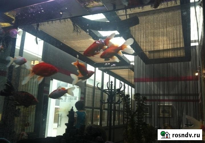 М.Кожуховская. Предлагаем помещение столовой 136, 8 м.кв. в Бизнес Парке Москва - изображение 1