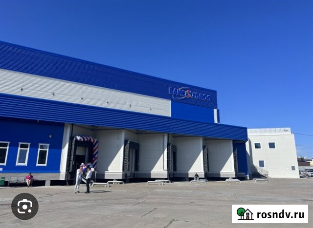 Аренда морозильной камеры 2300 кв м (-18-26) Санкт-Петербург - изображение 3